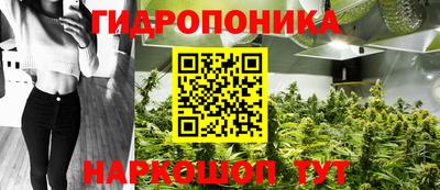 каннабис Будённовск