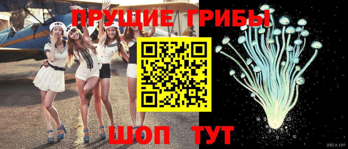 Балтийск  купить закладку  Вход с VPN  Галлюциногенные грибы Psilocybine cubensis 