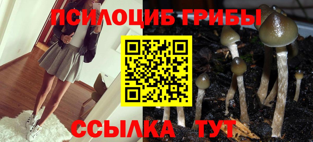 Псилоцибиновые грибы GOLDEN TEACHER Балтийск